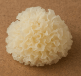 Thumbnail of related posts 189